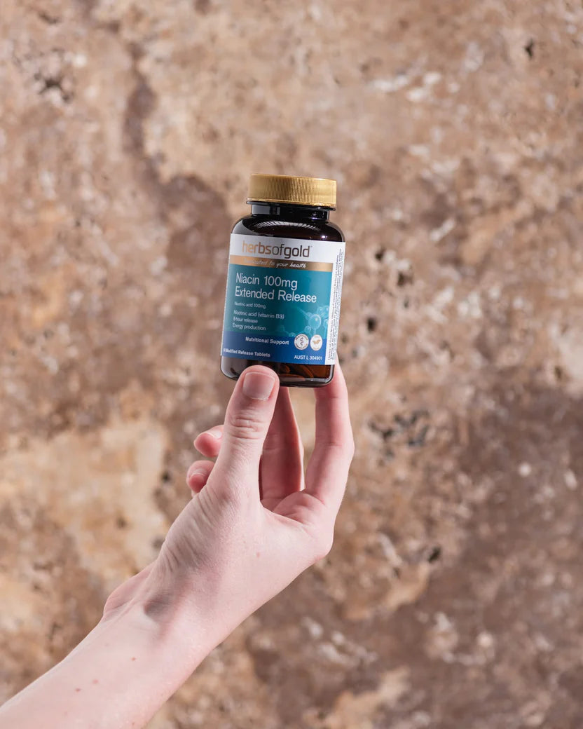 Niacin 100mg Extended Release 60t3