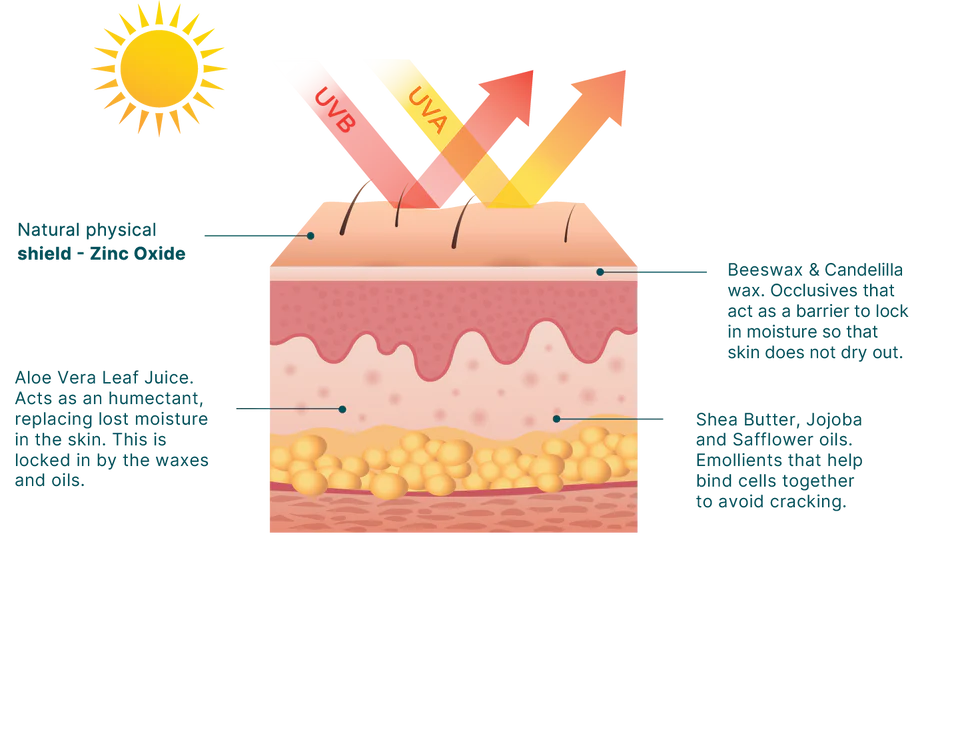 Wotnot
Natural Sunscreen SPF 50+ 125g