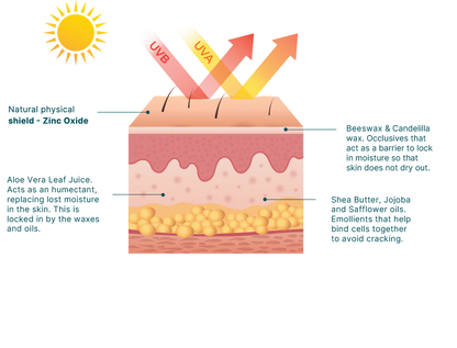 Wotnot
Natural Sunscreen SPF 50+ 125g